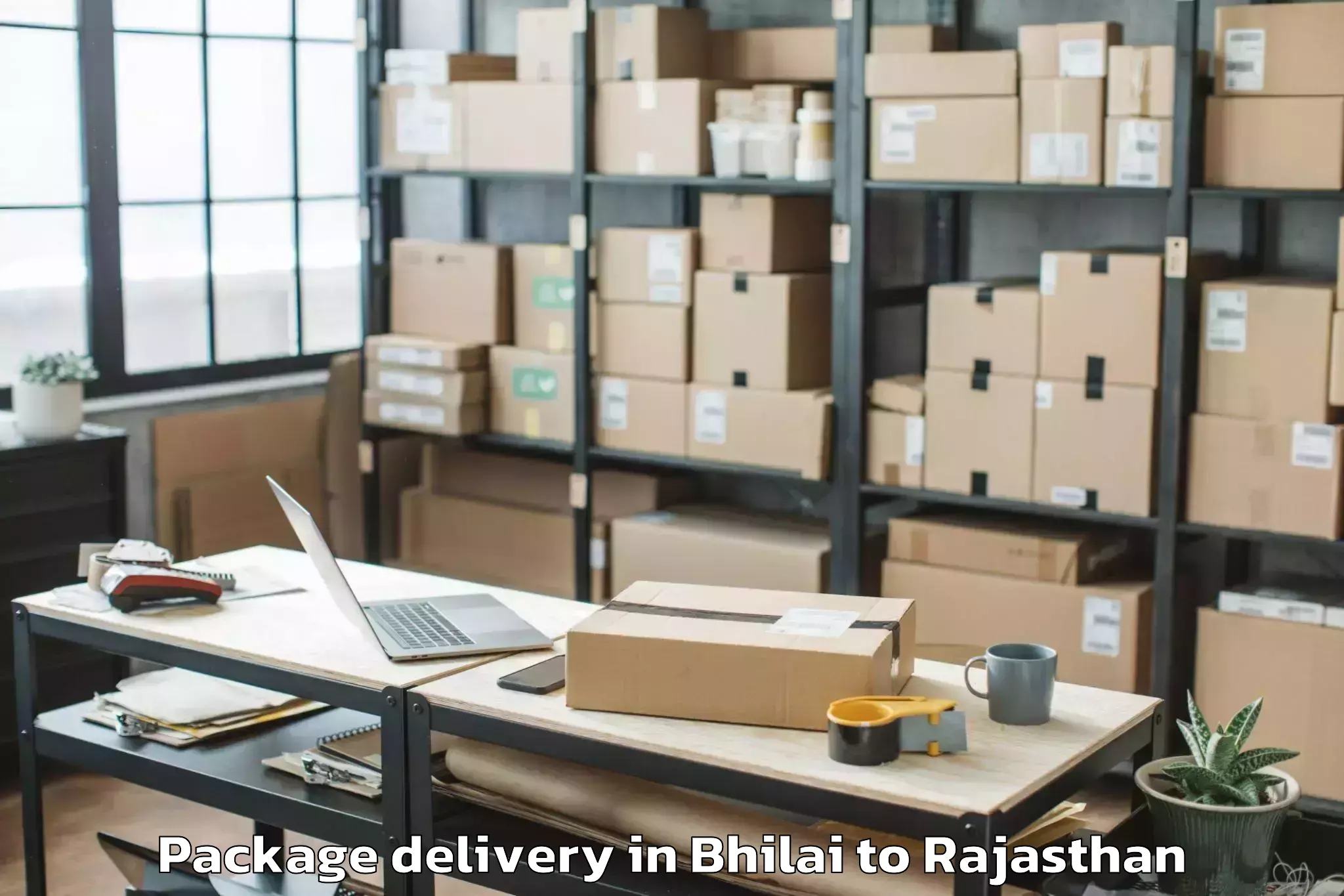 Book Bhilai to Tantia University Sri Ganganag Package Delivery Online